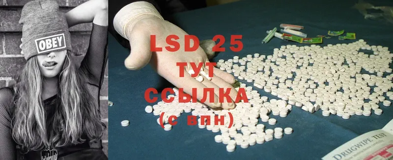 Лсд 25 экстази ecstasy  MEGA tor  Каменногорск 